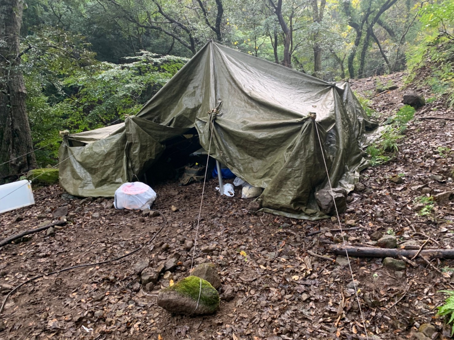 スライドショー画像